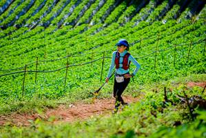 BIB: 1307
                            <button type="button" onclick="openModal(19163459)" class="btn btn-primary btn-sm float-right btn-popup" data-toggle="modal" data-target=".modal-high-quality">
                        <i class="fas fa-shopping-cart"></i> Add to Cart
                    </button>
                                            <button type="button" onclick="isThisMe(19163459, true)" class="btn btn-success btn-sm float-right btn-popup btn-isme hidden" data-toggle="tooltip" data-placement="bottom" title="นี่คือรูปของคุณใช่ไหม คลิกที่นี่เพื่อเอาเข้าอัลบั้ม">
                        <i class="fas fa-plus"></i> Add to album
                    </button>
                    <button type="button" onclick="isThisMe(19163459, false)" class="btn btn-warning btn-sm float-right btn-popup btn-isnotme hidden">
                        <i class="fas fa-ban"></i> Remove from album
                    </button>